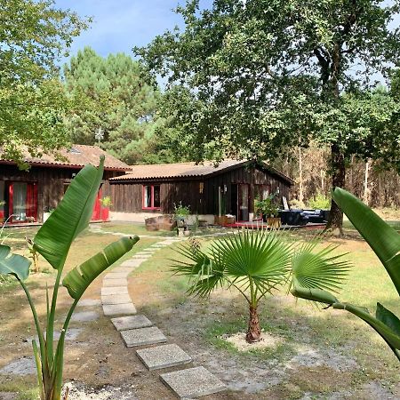 Hacienda De La Canopee Avec Piscine Chauffee Au Sel Hourtin Kültér fotó