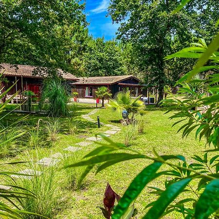 Hacienda De La Canopee Avec Piscine Chauffee Au Sel Hourtin Kültér fotó