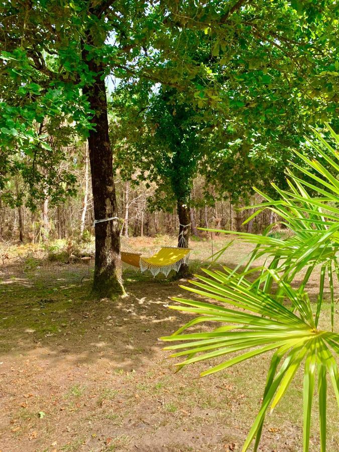 Hacienda De La Canopee Avec Piscine Chauffee Au Sel Hourtin Kültér fotó