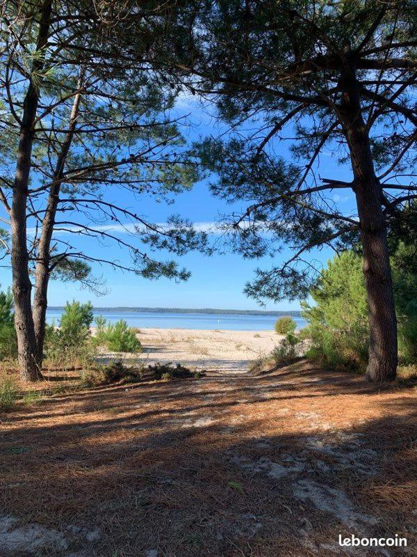 Hacienda De La Canopee Avec Piscine Chauffee Au Sel Hourtin Kültér fotó