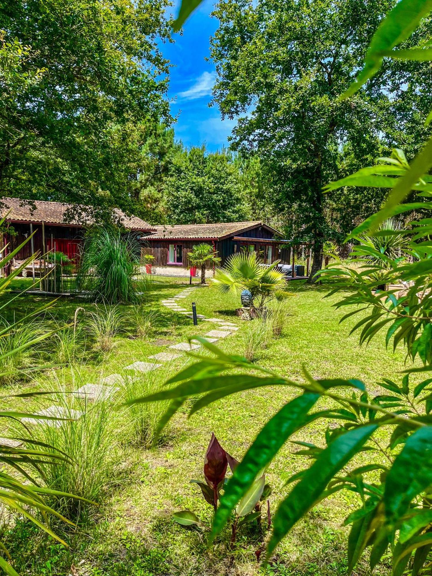 Hacienda De La Canopee Avec Piscine Chauffee Au Sel Hourtin Kültér fotó